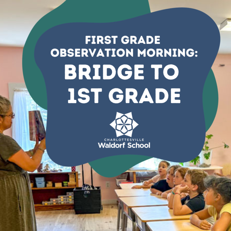 Read more about the article First Grade Observation Mornings, November 8, 8:30-10am