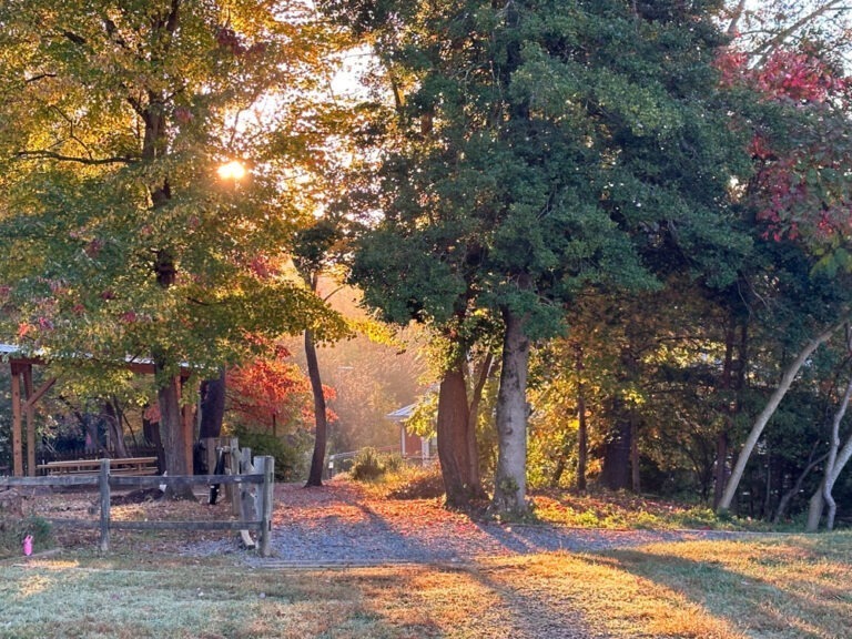 Charlottesville Waldorf School Private School in Charlottesville