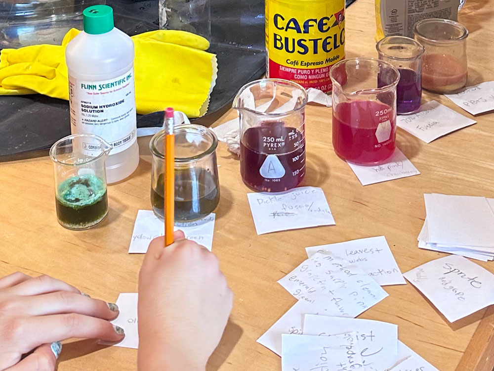 organic chemistry experiments in middle school