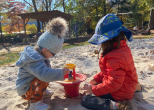 Read more about the article Science: Wonder and Discovery