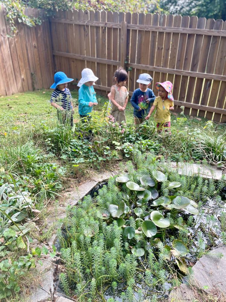 early childhood students exploring the playground pond