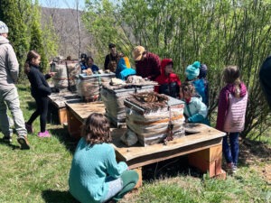 3rd grade students learning about honey bees and hives