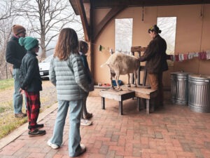 grade 3 students watching a farmer milk a goat