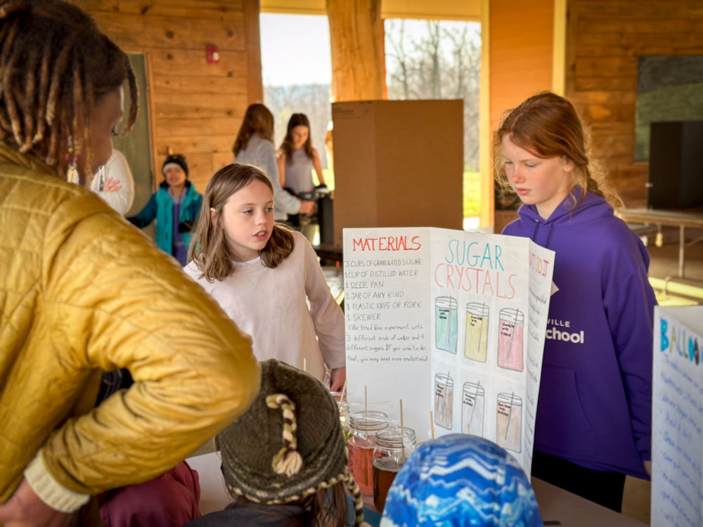 science fair experiment in middle school