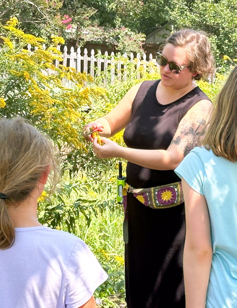 Third grade students learning about plants for dying