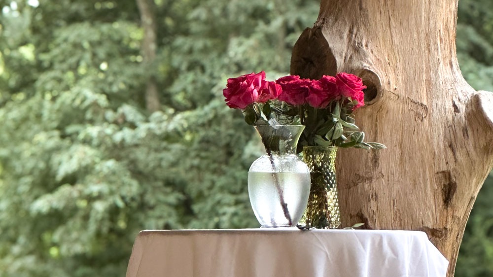 Roses from the Rose Ceremony at Charlottesville Waldorf School