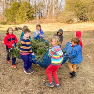 students hauling branches