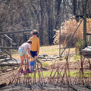 3rd grade students work in the garden