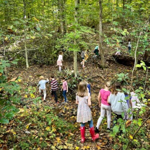 students exploring in the woods