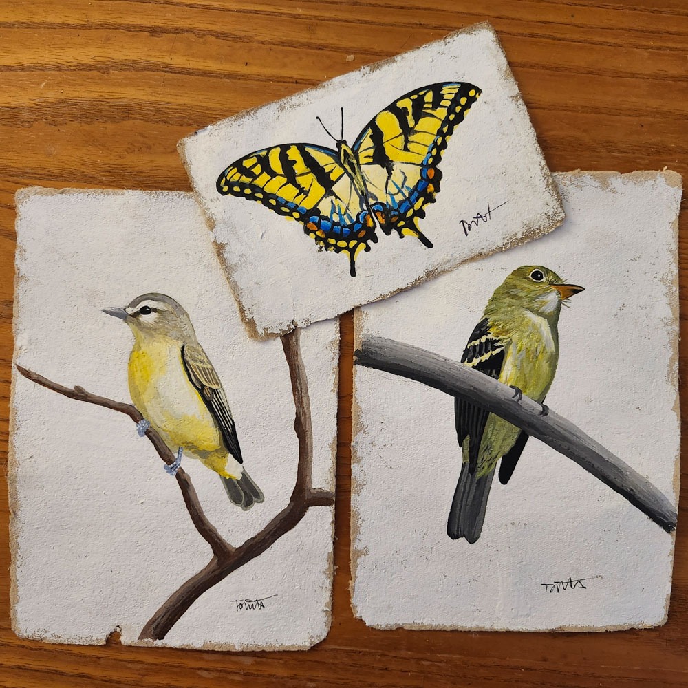 thomas wyatt handmade paper and nature art