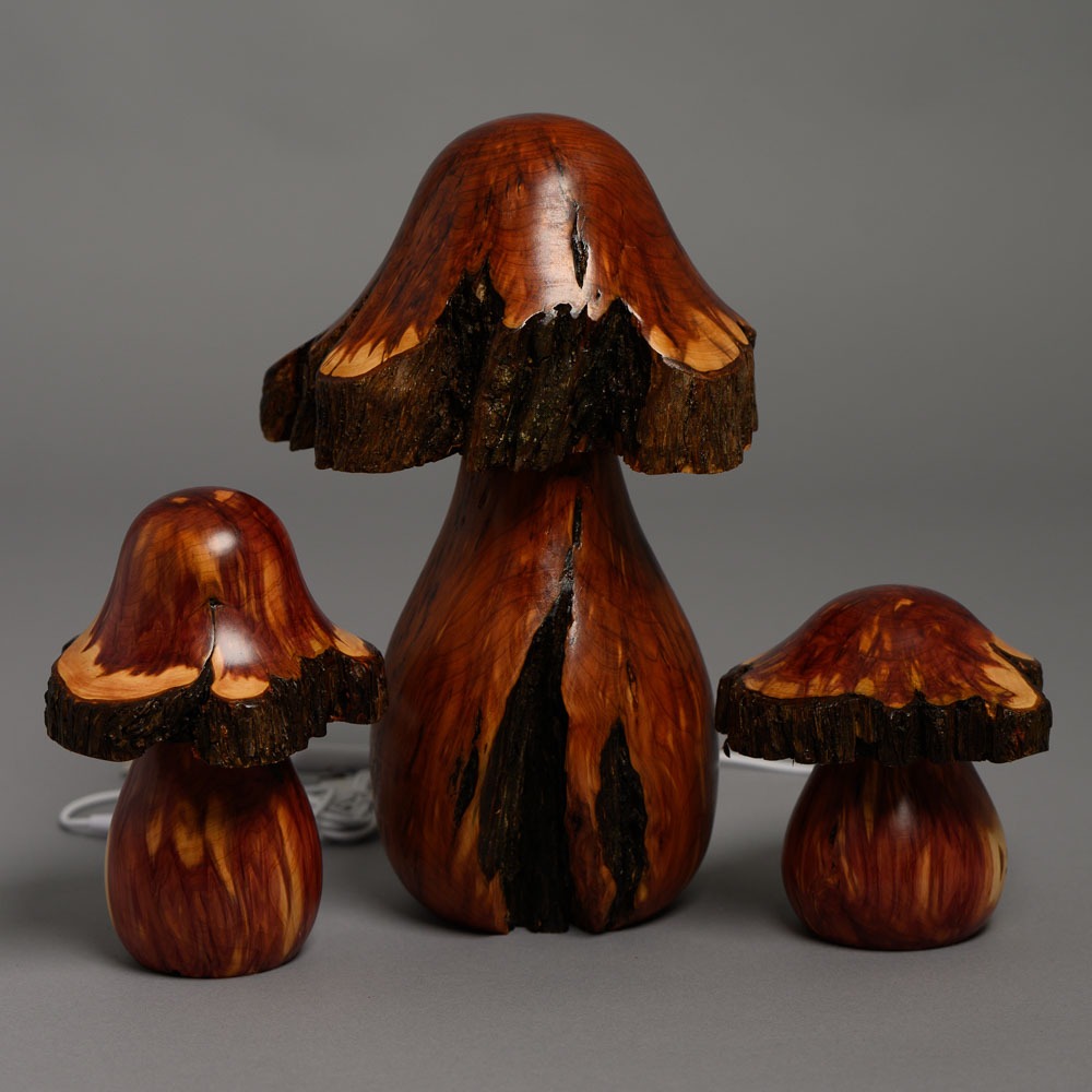 Matan Tsufim Mushroom Lights