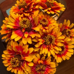 bright autumn flowers