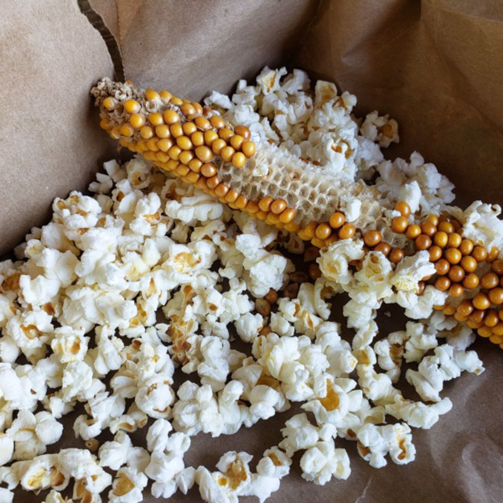 Bellair Farm at the Holiday Bazaar 2025