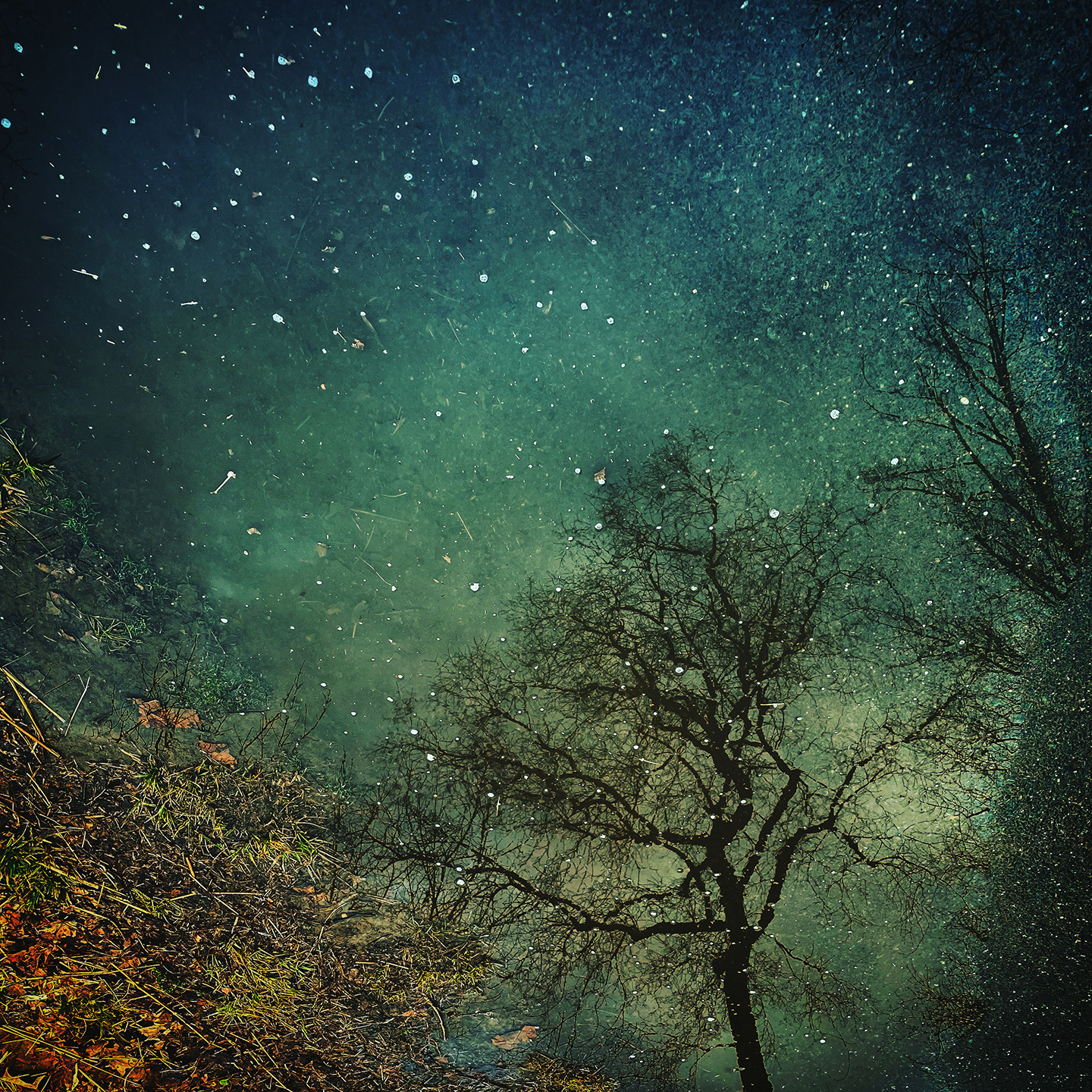 Read more about the article Chelsea Hoyt Photography