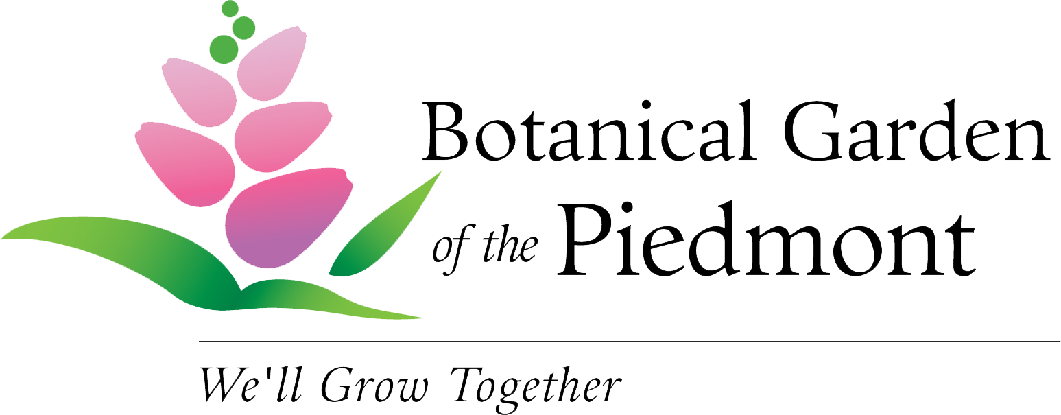 Read more about the article Botanical Garden of the Piedmont