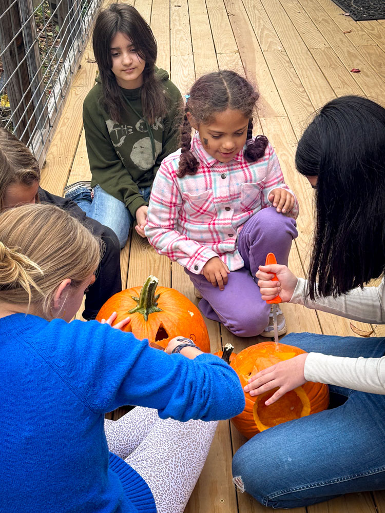 charlottesville waldorf school students working together on a project