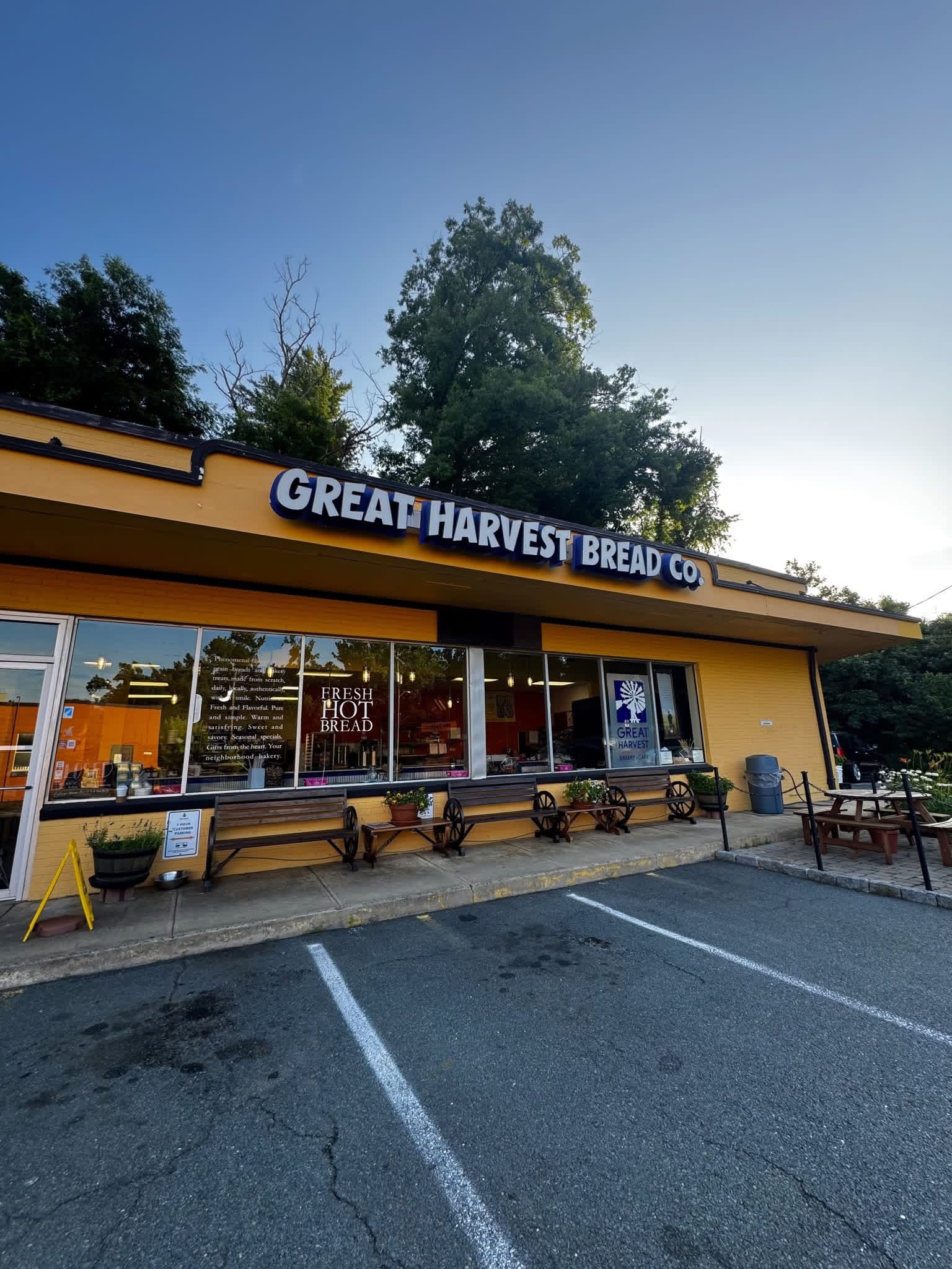 Read more about the article Great Harvest Bakery & Cafe C’ville